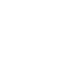 engranatge logo